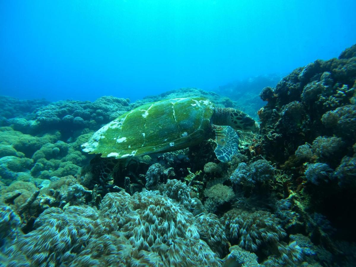 Lebaoh Nusa Cottage Lembongan Zewnętrze zdjęcie
