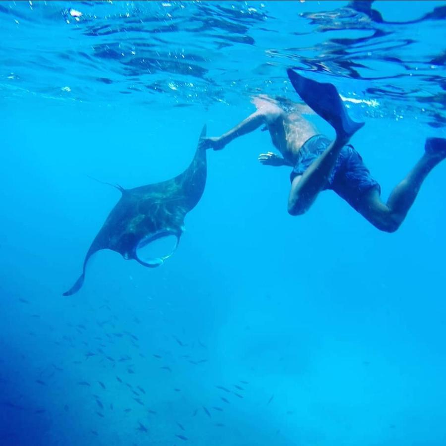 Lebaoh Nusa Cottage Lembongan Zewnętrze zdjęcie